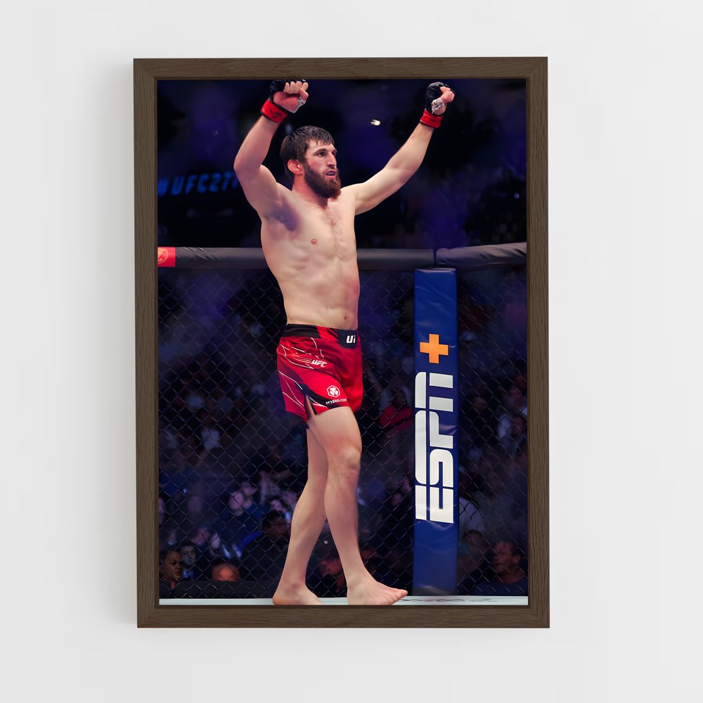 Poster Magomed ankalaev relever – affiche MMA (vue 5)